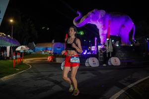 BIB: 
                            <button type="button" onclick="openModal(26552107)" class="btn btn-primary btn-sm float-right btn-popup" data-toggle="modal" data-target=".modal-high-quality">
                        <i class="fas fa-shopping-cart"></i> Add to Cart
                    </button>
                                            <button type="button" onclick="isThisMe(26552107, true)" class="btn btn-success btn-sm float-right btn-popup btn-isme hidden" data-toggle="tooltip" data-placement="bottom" title="นี่คือรูปของคุณใช่ไหม คลิกที่นี่เพื่อเอาเข้าอัลบั้ม">
                        <i class="fas fa-plus"></i> Add to album
                    </button>
                    <button type="button" onclick="isThisMe(26552107, false)" class="btn btn-warning btn-sm float-right btn-popup btn-isnotme hidden">
                        <i class="fas fa-ban"></i> Remove from album
                    </button>